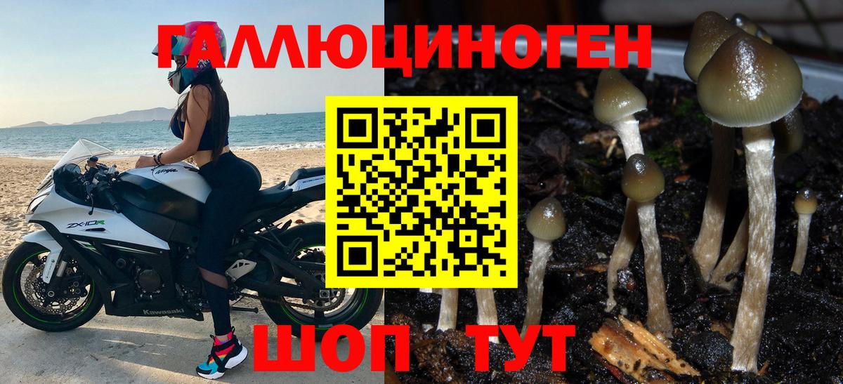 Химки  Галлюциногенные грибы Psilocybine cubensis  Вход с VPN  Псилоцибиновые грибы Psilocybe 