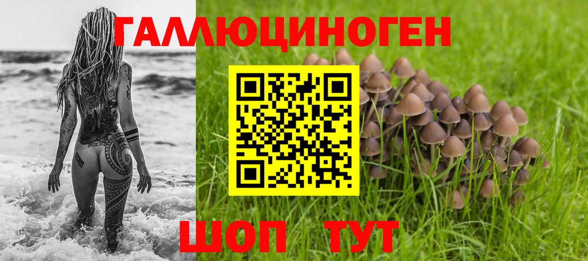 Псилоцибиновые грибы ЛСД Химки